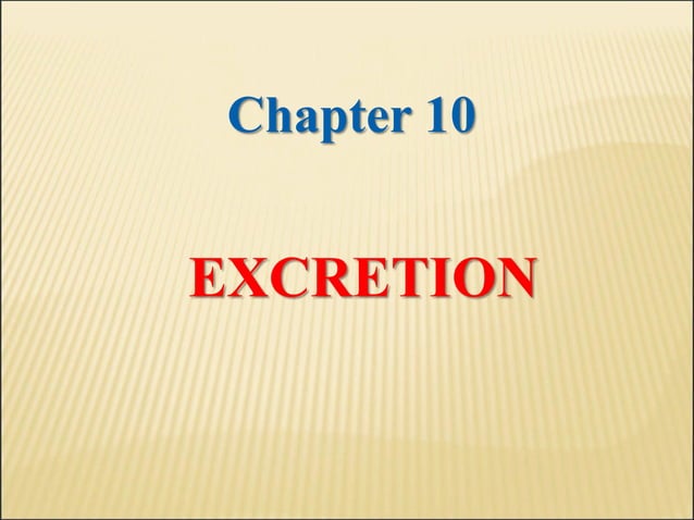 10 +chapter+10+-+excretion | PPT