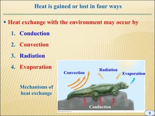 10 +chapter+10+-+excretion | PPT
