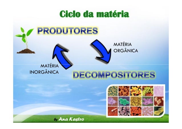 Ciclo da matéria e fluxo energia