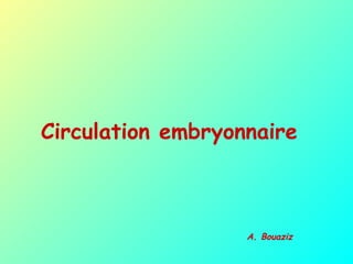 Circulation embryonnaire
A. Bouaziz
 