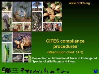 1
Convention on International Trade in Endangered
Species of Wild Fauna and Flora
www.CITES.org
CITES compliance
procedures
(Resolution Conf. 14.3)
 