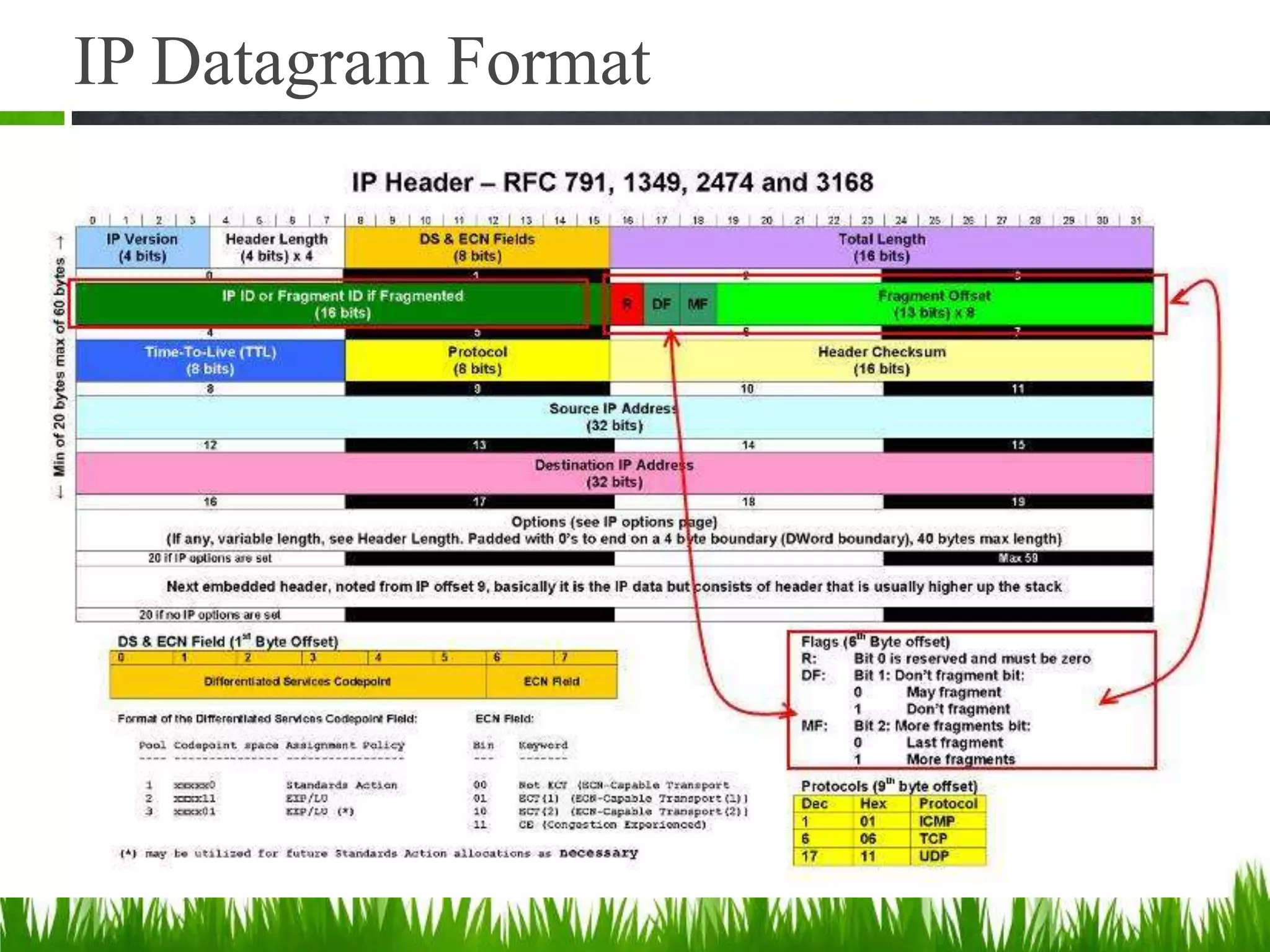 IP Datagram Format
 