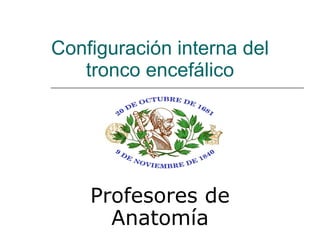 Configuración interna del tronco encefálico Profesores de Anatomía 