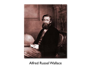 Alfred Russel Wallace
 