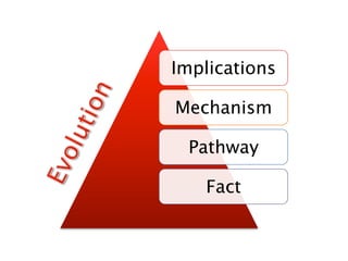 Implications

Mechanism

 Pathway

   Fact
 