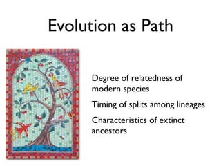 Evolution as Path

     Degree of relatedness of
     modern species
     Timing of splits among lineages
     Characteristics of extinct
     ancestors
 