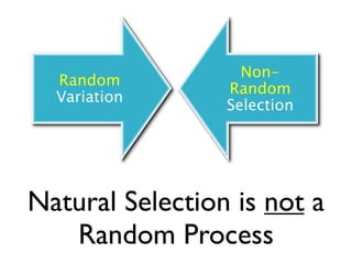 Non-
  Random
                 Random
  Variation
                 Selection




Natural Selection is not a
   Random Process
 