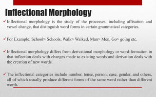 Derivational vs inflectional morphology | PPT