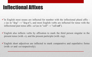 Derivational vs inflectional morphology | PPT