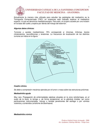 3
              UNIVERSIDAD CATOLICA DE LA SANTISIMA CONCEPCION
                       FACULTAD DE MEDICINA - ANATOMIA

Actualmente la manera más utilizada para estudiar las patologías del mediastino es la
Tomografía Computarizada (TAC); en ocasiones está indicado explorar el mediastino
superior, lo que se denomina mediastinoscopía. Para esto, el cirujano accede por una incisión
en la base del cuello y explora por detrás del mango del esternón.

Algunos datos clínicos:

Tumores y quistes mediastínicos: 75% corresponde a: timomas, linfomas, bocios
intratorácicos, neurofibromas y teratomas. La frecuencia de localización de los distintos
tumores se indica en la figura:




Cuadro clínico.

Se debe a compresión mecánica ejercida por el tumor o masa sobre las estructuras próximas.

Mediastinitis aguda

Muy rara. Propagación de enfermedades sépticas situadas en la zona retrofaríngea, en el
suelo de la boca, la laringe y, de forma excepcional, en la glándula tiroides, así como
perforaciones instrumentales, roturas o heridas penetrantes del esófago o por vómitos
violentos y contenidos (síndrome de Boerhaave).




Mediastinitis crónica


                                                            Profesor Gabriel Astete Arriagada - 2006
                                                       Als. Ayudantes: Rodrigo Mérida – Felipe Jara
 
