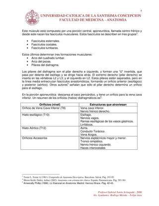 5
                  UNIVERSIDAD CATOLICA DE LA SANTISIMA CONCEPCION
                           FACULTAD DE MEDICINA - ANATOMIA

Este músculo está compuesto por una porción central, aponeurótica, llamada centro frénico y
desde este nacen los fascículos musculares. Estos fascículos se describen en tres grupos3:

    •    Fascículos esternales.
    •    Fascículos costales.
    •    Fascículos lumbares.

Estos últimos determinan tres formaciones musculares:
   • Arco del cuadrado lumbar.
   • Arco del psoas.
   • Pilares del diafragma.

Los pilares del diafragma son el pilar derecho e izquierdo, y forman una “U” invertida, que
pasa por delante del esófago y se dirige hacia atrás. El extremo derecho (pilar derecho) se
inserta en las vértebras L2 y L3; y el izquierdo en L2. Estos pilares están separados, pero en
la línea media entrecruzan fascículos anastomóticos, formando un orificio anterior (esofágico)
y posterior (aórtico). Otros autores4 señalan que sólo el pilar derecho determina un orificio
para el esófago.

En la porción aponeurótica descansa el saco pericárdico, y tiene un orificio para la vena cava
inferior. Un resumen de los orificios (hiatos) diafragmáticos es5:

              Orificios (nivel)                                    Estructuras que atraviesan
Orificio de Vena Cava Inferior (T8)                        Vena cava inferior.
                                                           Nervio frénico derecho.
Hiato esofágico (T10)                                      Esófago.
                                                           Nervios vagos.
                                                           Ramas esofágicas de los vasos gástricos.
                                                           Linfáticos.
Hiato Aórtico (T12)                                        Aorta.
                                                           Conducto Torácico.
                                                           Vena Acigos.
Orificios Accesorios                                       Nervios esplácnicos mayor y menor.
                                                           Tronco simpático.
                                                           Nervio frénico izquierdo.
                                                           Haces intercostales




3
  Testut L, Testut A (1981): Compendio de Anatomia Descriptiva. Barcelona. Salvat. Pág. 193-95.
4
  Moore Keith, Dalley Arthur (2002): Anatomia com orientación clínica. España. Panamericana. Pág. 293-301.
5
  Ameerally Phillip (1998): Lo Esencial en Anatomía. Madrid. Harcout Brace. Pág. 42-43.


                                                                             Profesor Gabriel Astete Arriagada - 2006
                                                                        Als. Ayudantes: Rodrigo Mérida – Felipe Jara
 