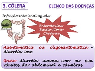 Infecção intestinal aguda
Enterotoxina
Bacilo Vibrio
Cholerae
Assintomática ou oligossintomática –
diarréia leve
Grave- diarréia aquosa, com ou sem
vômitos, dor abdominal e câimbras
 