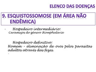 - Hospedeiro intermediário:
Caramujos do gênero Biomphalaria
Hospedeiro definitivo:
Homem – eliminação de ovos pelos parasitas
adultos através das fezes.
-
 