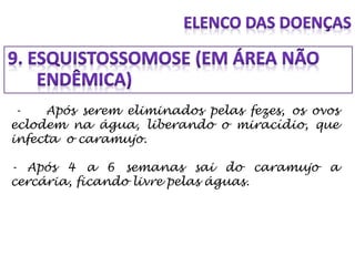 - Após serem eliminados pelas fezes, os ovos
eclodem na água, liberando o miracídio, que
infecta o caramujo.
- Após 4 a 6 semanas sai do caramujo a
cercária, ficando livre pelas águas.
 