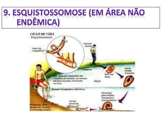 10  doenças de notificação compulsória