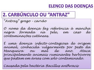 “Antraz” grego – carvão
O nome da doença faz referência à mancha
negra formada na pele, em caso de
contaminações cutâneas.
É uma doença infecto-contagiosa de origem
animal, conhecida vulgarmente por peste da
Manqueira ou mal de ano. Ataca
principalmente animais ruminantes herbívoros
que pastam em áreas com solo contaminado.
Causada pela bactéria Bacillus anthracis
 