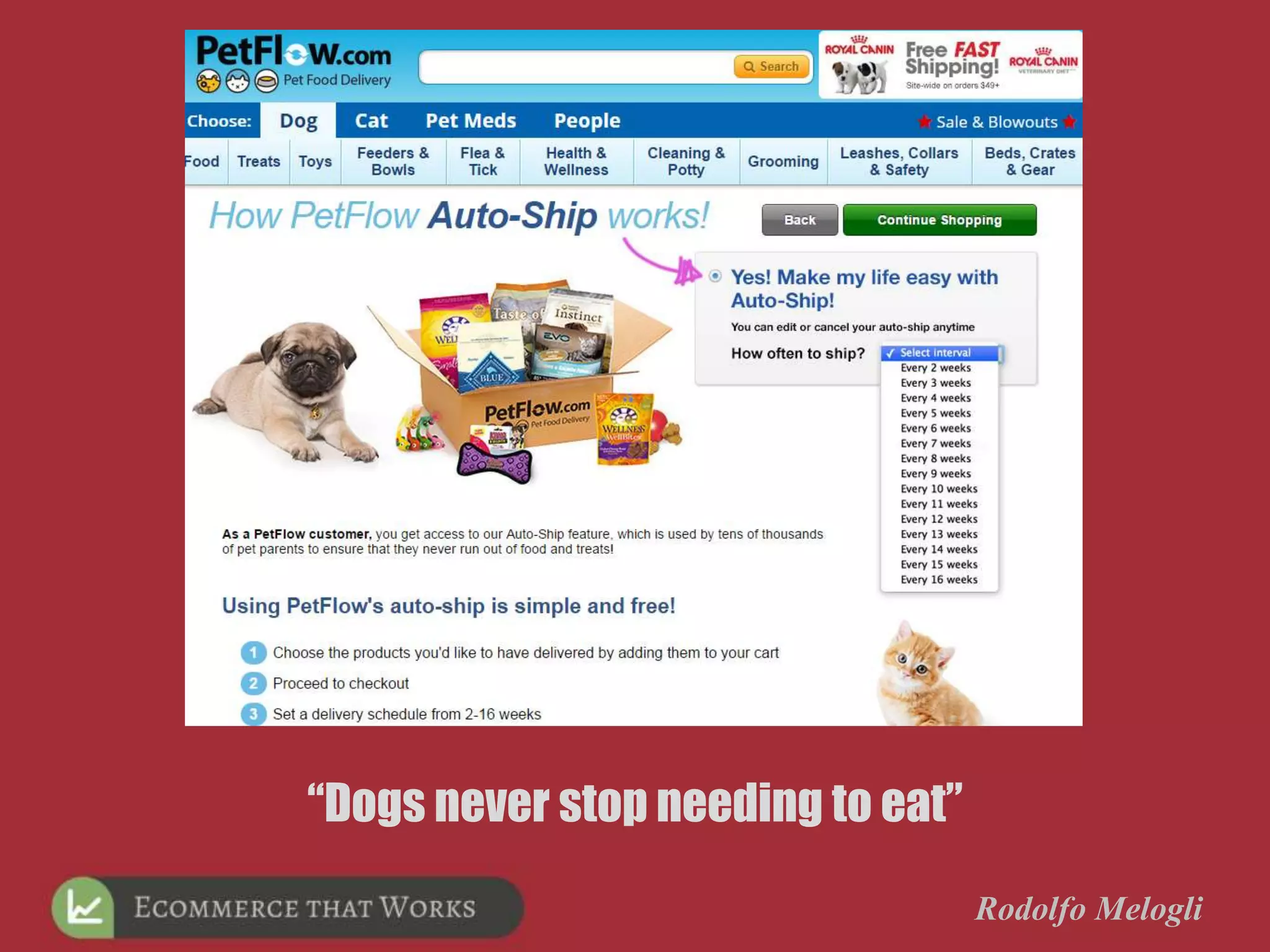 Rodolfo Melogli
“Dogs never stop needing to eat”
 