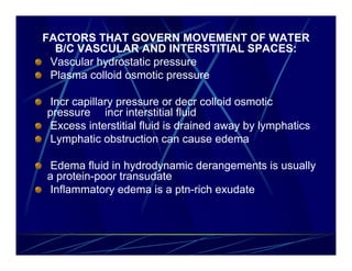 FACTORS THAT GOVERN MOVEMENT OF WATER
  B/C VASCULAR AND INTERSTITIAL SPACES:
 Vascular hydrostatic pressure
 Plasma colloid osmotic pressure

 Incr capillary pressure or decr colloid osmotic
pressure incr interstitial fluid
 Excess interstitial fluid is drained away by lymphatics
 Lymphatic obstruction can cause edema

 Edema fluid in hydrodynamic derangements is usually
a protein-poor transudate
 Inflammatory edema is a ptn-rich exudate
 