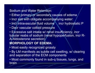 Sodium and Water Retention:
• Either primary or secondary causes of edema
• Incr salt with obligate accompanying water:
• Incr intravascular fluid volume incr hydrostatic P
• Decr vascular colloid pressure
• Excessive salt intake w/ renal insufficiency, incr
tubular reabs of sodium (renal hypoperfusion, incr R-
A-Aldosterone secretion)
MORPHOLOGY OF EDEMA:
• Most easily recognized grossly
• By LM manifests as subtle cell swelling, w/ clearing
and separation of the ECM components
• Most commonly found in sub-q tissues, lungs, and
brain
 