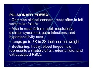 PULMONARY EDEMA:
• Common clinical concern, most often in left
ventricular failure
• Also in renal failure, adult respiratory
distress syndrome, pulm infections, and
hypersensitivity rxns
• Lungs go to 2X to 3X their normal weight
• Sectioning: frothy, blood-tinged fluid –
represents a mixture of air, edema fluid, and
extravasated RBCs
 