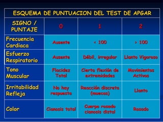 ESQUEMA DE PUNTUACION DEL TEST DE APGAR
SIGNO /
PUNTAJE
0 1 2
Frecuencia
Cardiaca
Ausente < 100 > 100
Esfuerzo
Respiratori...