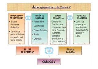 Árbol genealógico de Carlos V
 