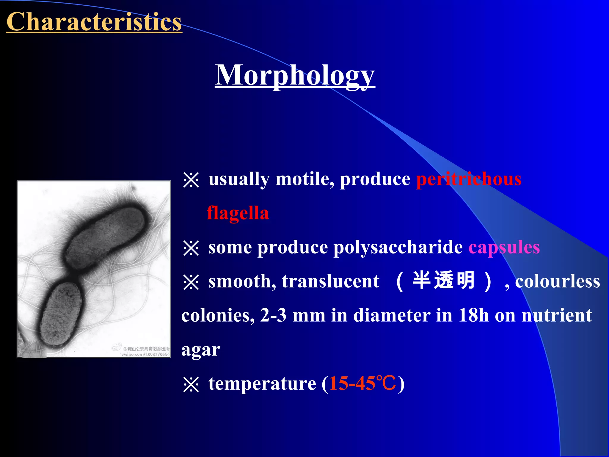 Characteristics
Morphology
※ usually motile, produce peritrichous
flagella
※ some produce polysaccharide capsules
※ smooth, translucent （半透明） , colourless
colonies, 2-3 mm in diameter in 18h on nutrient
agar
※ temperature (15-45℃)
 