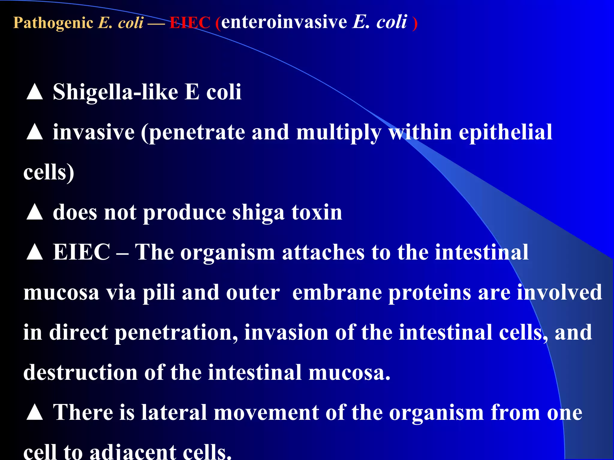 Pathogenic E. coli — EIEC (enteroinvasive E. coli )
▲ Shigella-like E coli
▲ invasive (penetrate and multiply within epithelial
cells)
▲ does not produce shiga toxin
▲ EIEC – The organism attaches to the intestinal
mucosa via pili and outer embrane proteins are involved
in direct penetration, invasion of the intestinal cells, and
destruction of the intestinal mucosa.
▲ There is lateral movement of the organism from one
cell to adjacent cells.
 