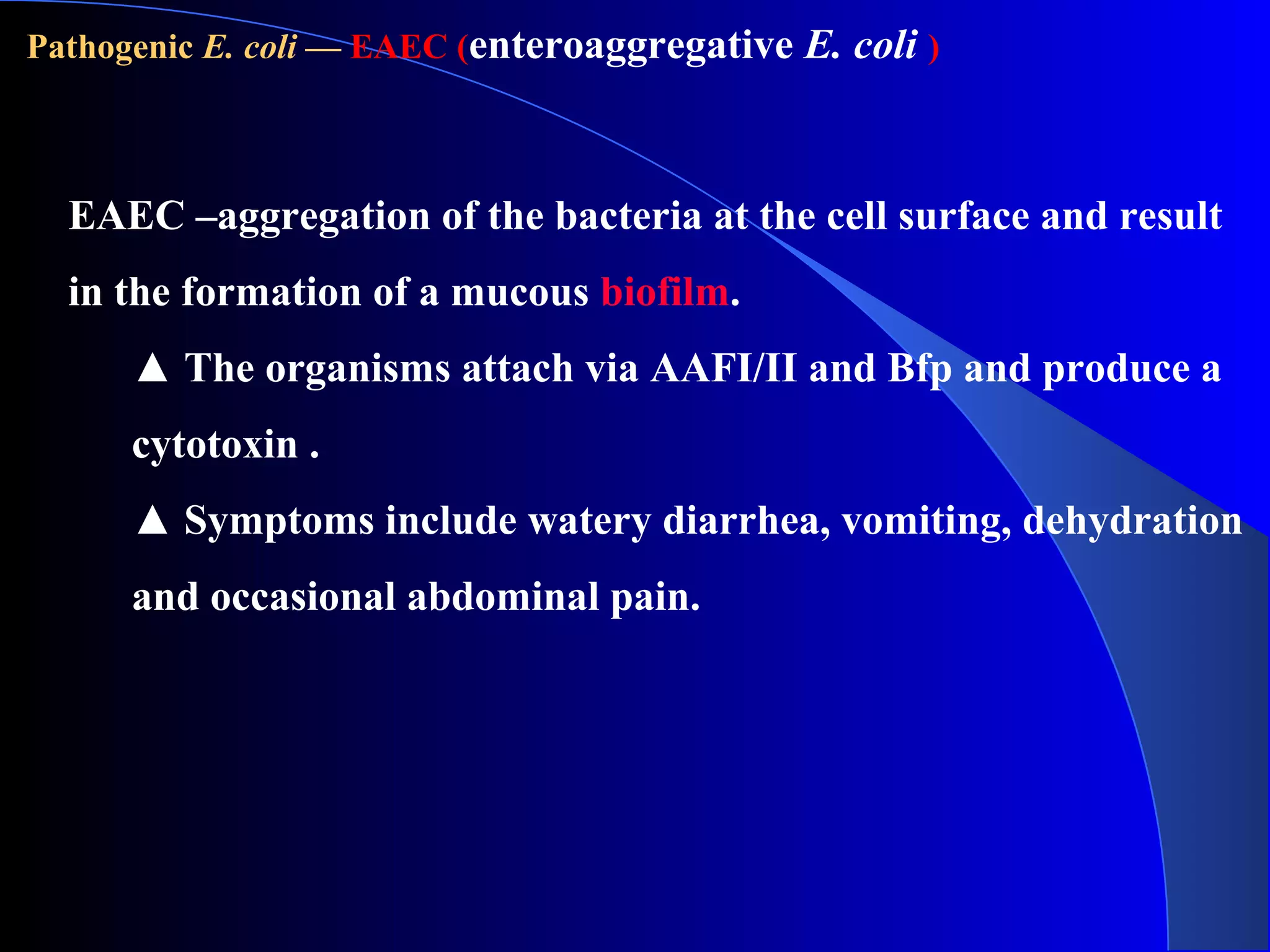 Pathogenic E. coli — EAEC (enteroaggregative E. coli )
EAEC –aggregation of the bacteria at the cell surface and result
in the formation of a mucous biofilm.
▲ The organisms attach via AAFI/II and Bfp and produce a
cytotoxin .
▲ Symptoms include watery diarrhea, vomiting, dehydration
and occasional abdominal pain.
 