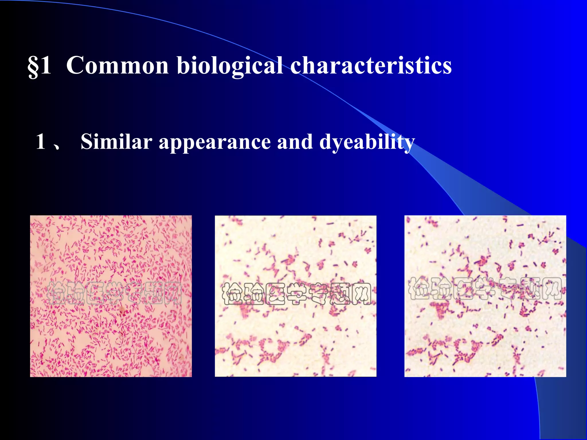 1 、 Similar appearance and dyeability
§1 Common biological characteristics
 