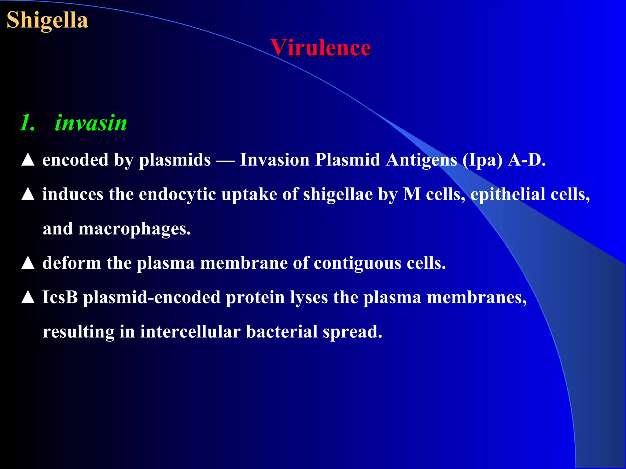 Shigella
VirulenceVirulence
1. invasin
▲ encoded by plasmids — Invasion Plasmid Antigens (Ipa) A-D.
▲ induces the endocytic uptake of shigellae by M cells, epithelial cells,
and macrophages.
▲ deform the plasma membrane of contiguous cells.
▲ IcsB plasmid-encoded protein lyses the plasma membranes,
resulting in intercellular bacterial spread.
 