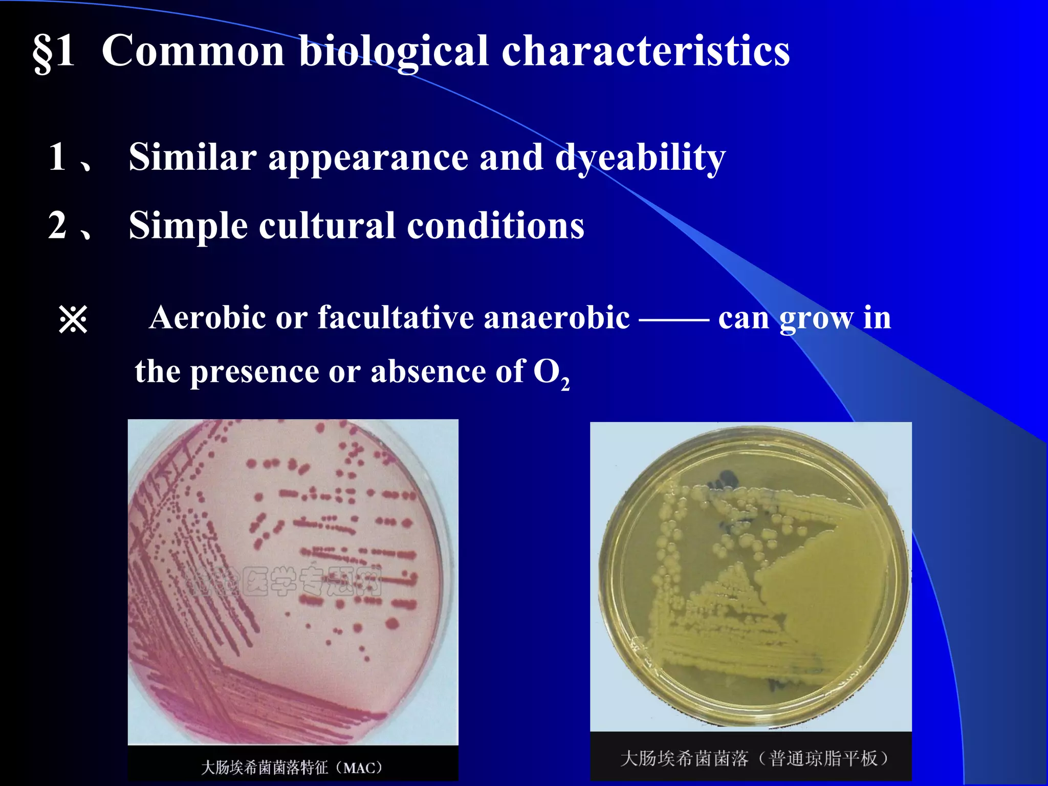 §1 Common biological characteristics
1 、 Similar appearance and dyeability
2 、 Simple cultural conditions
※ 　 Aerobic or facultative anaerobic —— can grow in
the presence or absence of O2
 