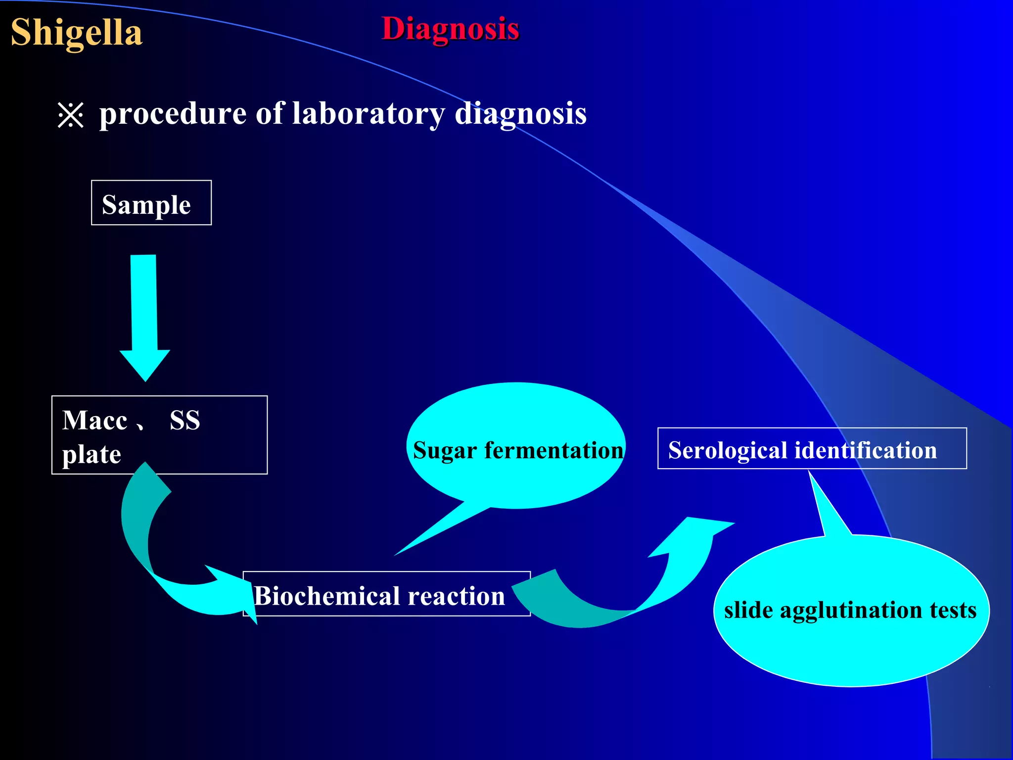 slide agglutination tests
Sample
Macc 、 SS
plate
Biochemical reaction
Serological identificationSugar fermentation
※ procedure of laboratory diagnosis
DiagnosisDiagnosisShigella
 