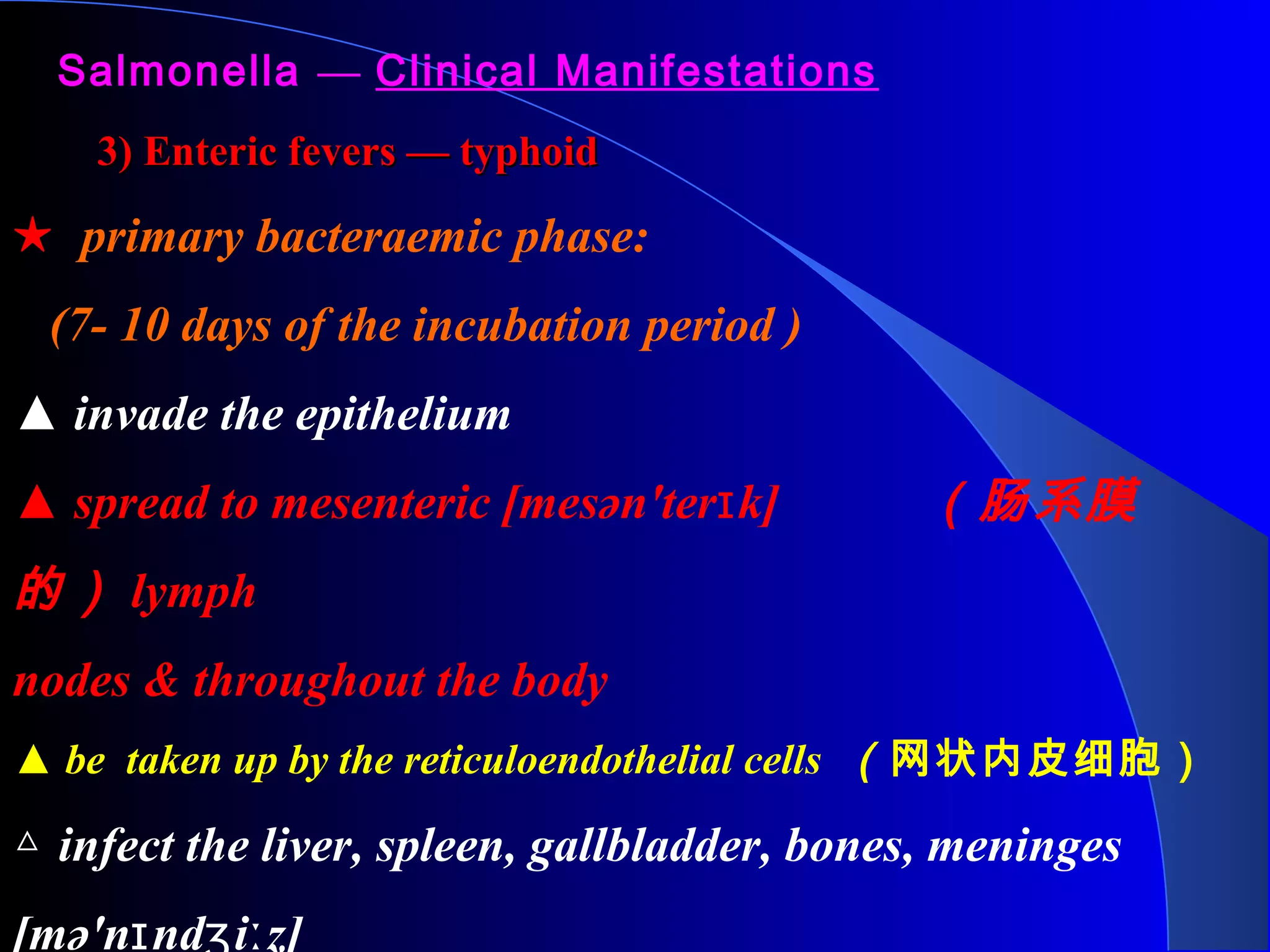 Salmonella — Clinical Manifestations
3) Enteric fevers — typhoid3) Enteric fevers — typhoid
★ primary bacteraemic phase:
(7- 10 days of the incubation period )
▲ invade the epithelium
▲ spread to mesenteric [mesən'ter k]ɪ （肠系膜
的） lymph
nodes & throughout the body
▲ be taken up by the reticuloendothelial cells （网状内皮细胞）
△ infect the liver, spleen, gallbladder, bones, meninges
[mə'n nd i z]ɪ ʒ ː
 