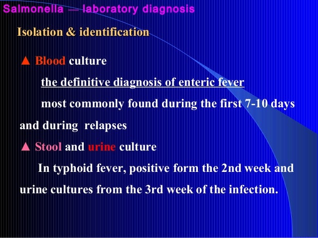 10 enterobacteriaceae