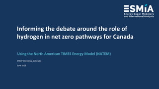 Informing the debate around the role of hydrogen in net zero pathways ...