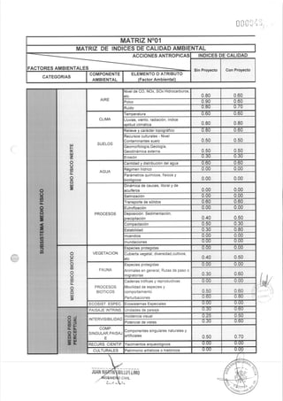 10  estudio de impacto ambiental