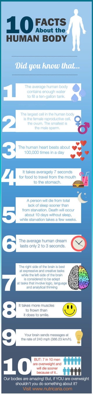 10 Facts About The Human Body
