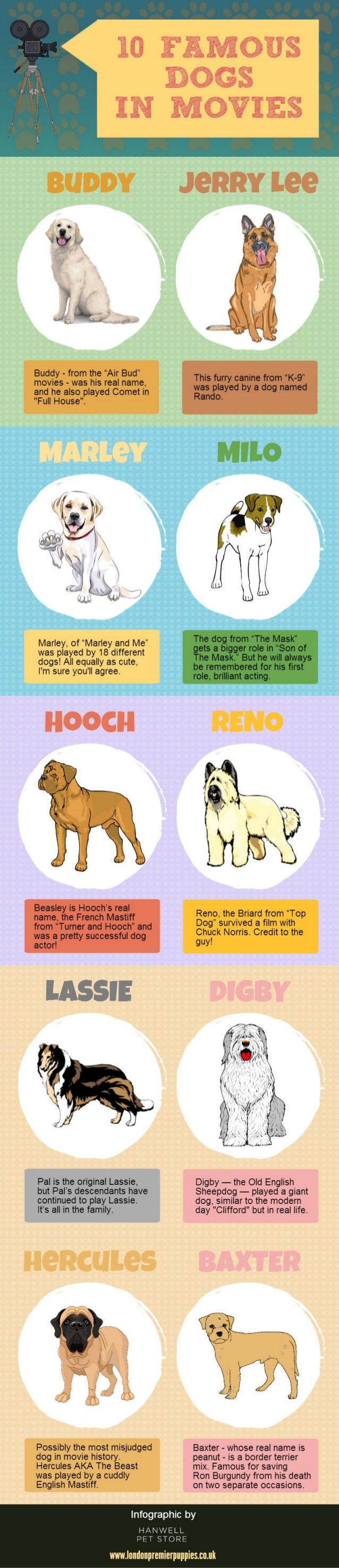 10 Famous Dogs in Movies