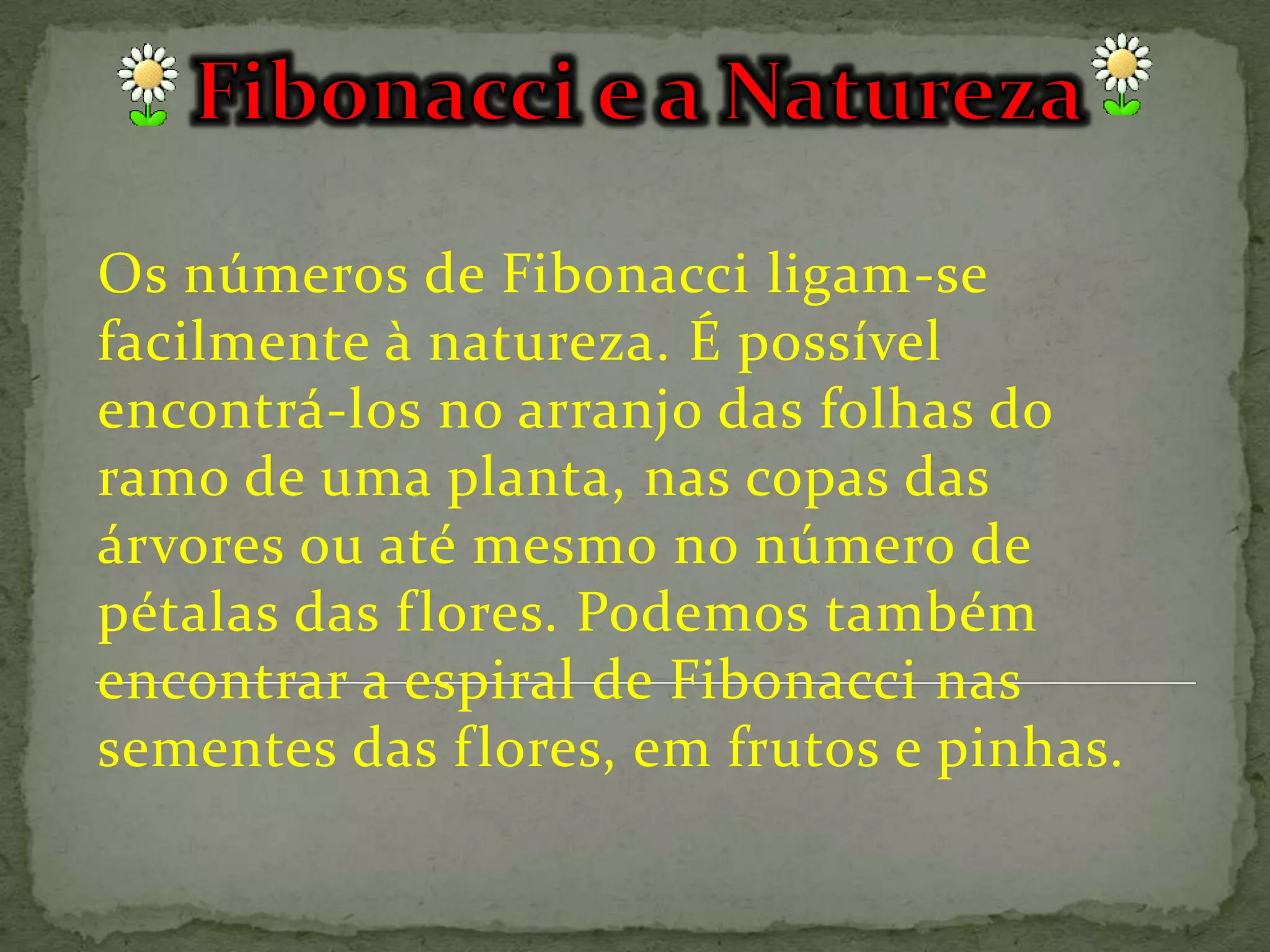 Os números de Fibonacci ligam-se
facilmente à natureza. É possível
encontrá-los no arranjo das folhas do
ramo de uma planta, nas copas das
árvores ou até mesmo no número de
pétalas das f lores. Podemos também
encontrar a espiral de Fibonacci nas
sementes das f lores, em frutos e pinhas.
 