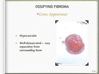 OSSIFYING FIBROMA
-Gross Appearance
Hypovascular
Well-demarcated— easy
separation from
surrounding bone
124
 