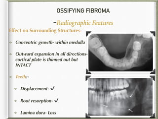 OSSIFYING FIBROMA
-Radiographic Features
Effect on Surrounding Structures-
Concentric growth- within medulla
Outward expansion in all directions-
cortical plate is thinned out but
INTACT
Teeth:-
Displacement- ✔
Root resorption- ✔
Lamina dura- Loss 127
 