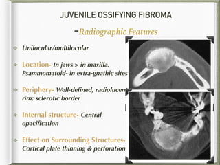 JUVENILE OSSIFYING FIBROMA
-Radiographic Features
Unilocular/multilocular
Location- In jaws > in maxilla.
Psammomatoid- in extra-gnathic sites
Periphery- Well-deﬁned, radiolucent
rim; sclerotic border
Internal structure- Central
opaciﬁcation
Effect on Surrounding Structures-
Cortical plate thinning & perforation
139
 