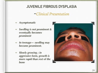 JUVENILE FIBROUS DYSPLASIA
-Clinical Presentation
Asymptomatic
Swelling is not prominent &
eventually becomes
prominent
In teenage— swelling may
become prominent.
Slowly growing ; in
aggressive form, growth is
more rapid than rest of the
bone
28
 