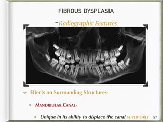 FIBROUS DYSPLASIA
-Radiographic Features
Effects on Surrounding Structures-
MANDIBULAR CANAL-
Unique in its ability to displace the canal SUPERIORLY 57
 