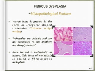 FIBROUS DYSPLASIA
-Histopathological Features
Woven bone is present in the
form of irregular shaped
trabeculae (Chinese script
writing)
Trabeculae are delicate and are
not connected to one another;
not sharply deﬁned
Bone formed is metaplastic in
nature. This form of metaplasia
is called a ﬁbro-osseous
metaplasia
64
 