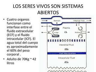 LOS	
  SERES	
  VIVOS	
  SON	
  SISTEMAS	
  
                          ABIERTOS	
  
•  Cuatro	
  organos	
  
   funcionan	
  como	
  
   interfase	
  entre	
  el	
  
   ﬂuido	
  extracelular	
  
   (ECF)	
  y	
  el	
  ﬂuido	
  
   intracelular	
  (ICF).	
  El	
  
   agua	
  total	
  del	
  cuerpo	
  
   es	
  aproximadamente	
  
   el	
  60%	
  del	
  peso	
  
   corporal	
  .	
  
•  Adulto	
  de	
  70Kg	
  ~	
  42	
  
   litros	
  
 