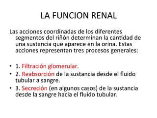 LA	
  FUNCION	
  RENAL	
  
Las	
  acciones	
  coordinadas	
  de	
  los	
  diferentes	
  
     segmentos	
  del	
  riñón	
  determinan	
  la	
  canVdad	
  de	
  
     una	
  sustancia	
  que	
  aparece	
  en	
  la	
  orina.	
  Estas	
  
     acciones	
  representan	
  tres	
  procesos	
  generales:	
  	
  
	
  
•  1.	
  Filtración	
  glomerular.	
  	
  
•  2.	
  Reabsorción	
  de	
  la	
  sustancia	
  desde	
  el	
  ﬂuido	
  
     tubular	
  a	
  sangre.	
  	
  
•  3.	
  Secreción	
  (en	
  algunos	
  casos)	
  de	
  la	
  sustancia	
  
     desde	
  la	
  sangre	
  hacia	
  el	
  ﬂuido	
  tubular.	
  	
  
 