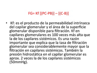 FG=	
  Kf	
  [(PC-­‐PB)]	
  –	
  [(C-­‐B)]	
  
                                                	
  
•  	
  Kf:	
  es	
  el	
  producto	
  de	
  la	
  permeabilidad	
  intrínseca	
  
   del	
  capilar	
  glomerular	
  y	
  el	
  área	
  de	
  la	
  superﬁcie	
  
   glomerular	
  disponible	
  para	
  ﬁltración.	
  Kf	
  en	
  
   capilares	
  glomerulares	
  es	
  100	
  veces	
  más	
  alta	
  que	
  
   la	
  de	
  los	
  capilares	
  sistémicos.	
  Es	
  una	
  razón	
  
   importante	
  que	
  explica	
  que	
  la	
  tasa	
  de	
  ﬁltración	
  
   glomerular	
  sea	
  considerablemente	
  mayor	
  que	
  la	
  
   ﬁltración	
  en	
  capilares	
  sistémicos.	
  También	
  la	
  
   presión	
  hidrostáVca	
  en	
  el	
  capilar	
  glomerular	
  es	
  
   aprox.	
  2	
  veces	
  la	
  de	
  los	
  capilares	
  sistémicos	
  
   (50mmHg).	
  
 