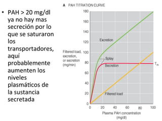 •  PAH	
  >	
  20	
  mg/dl	
  
   ya	
  no	
  hay	
  mas	
  
   secreción	
  por	
  lo	
  
   que	
  se	
  saturaron	
  
   los	
  
   transportadores,	
  
   aquí	
  
   probablemente	
  
   aumenten	
  los	
  
   niveles	
  
   plasmáVcos	
  de	
  
   la	
  sustancia	
  
   secretada	
  
 